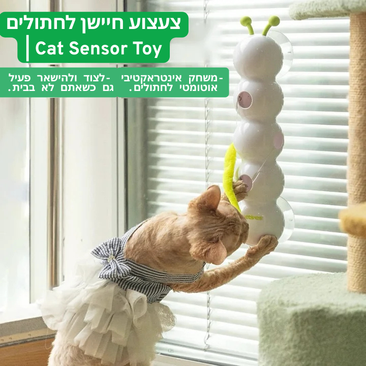 צעצוע חיישן לחתולים | Cat Sensor Toy