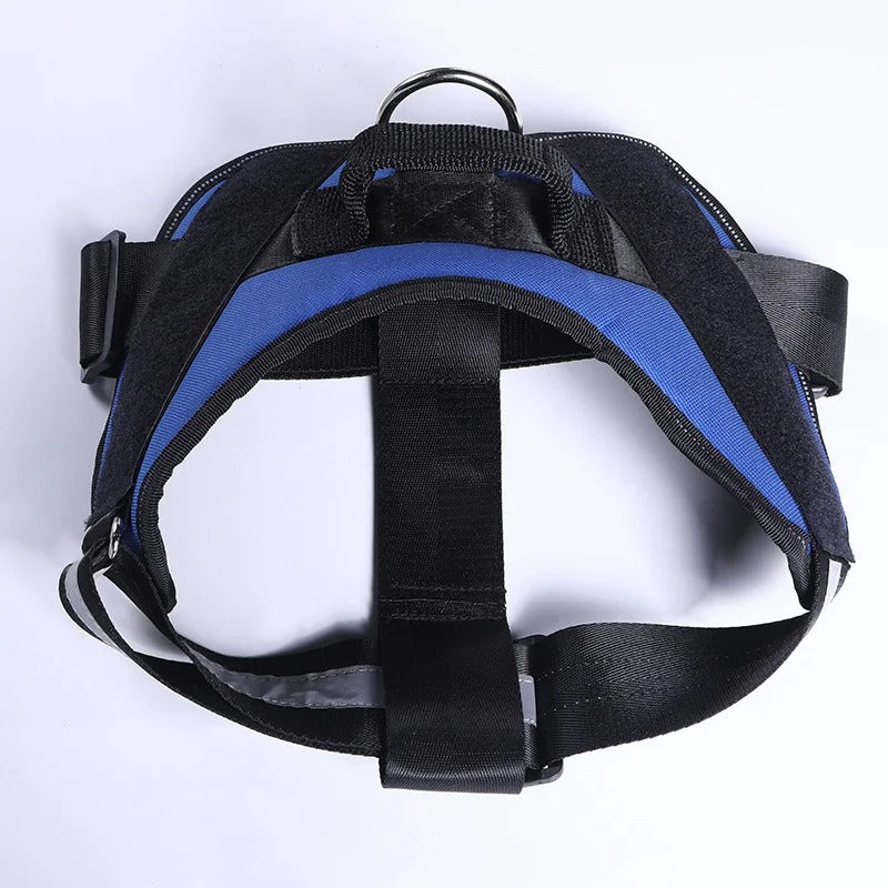 רתמת כלב מתכווננת | Adjustable Dog Harness